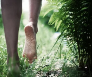 Une personne qui marche à pieds nus dans les bois.
